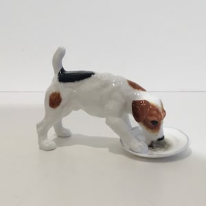 Jack Russel Terrier Dog Licking Plate (1940s) Royal Doulton