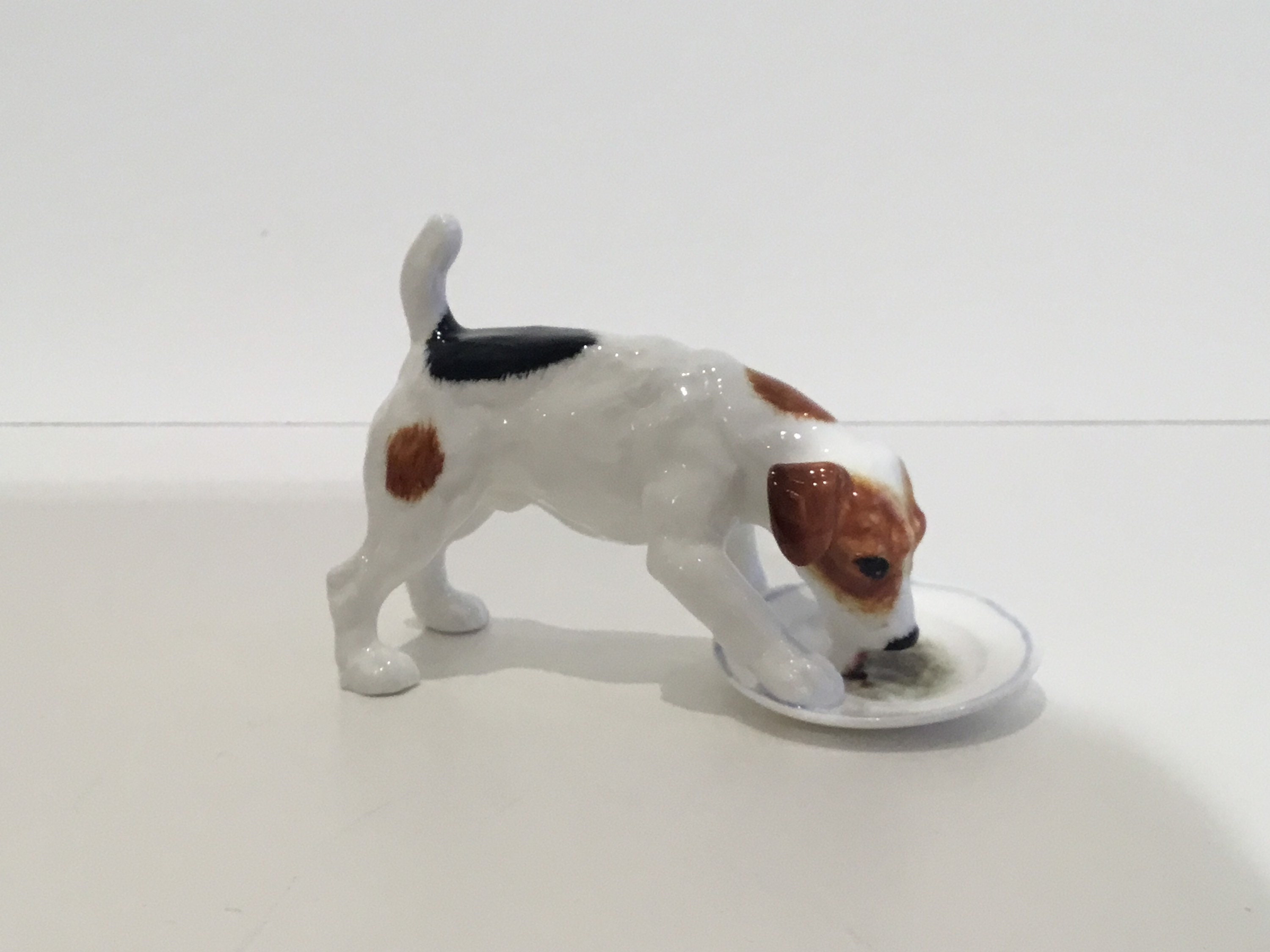 dog licking toy