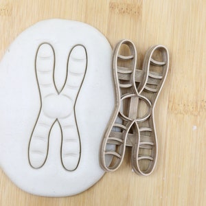 Könnte beinhalten: Ein Holz-Ausstecher in Form eines Chromosoms. Der Ausstecher ist lebensmittelecht und wird neben einem Stück weißen Modelliertones mit dem Abdruck des Ausstechers gezeigt.