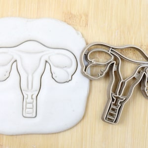 Diameter 5-10cm Organ Gebärmutter/Niere/Herz/Lunge/Gehirn/Darm/Pankreas/Leber/Magen cookie cutter  Ausstechform Keksausstecher