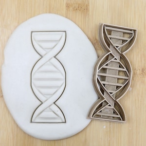 Könnte beinhalten: Ein Ausstecher in Form einer DNA-Doppelhelix neben einem Ausschnitt in weißem Teig. Der Ausstecher besteht aus hellbraunem Kunststoff und befindet sich auf einer hellbraunen Holzoberfläche. Ein Lebensmittelqualitätssymbol befindet sich in der unteren rechten Ecke.