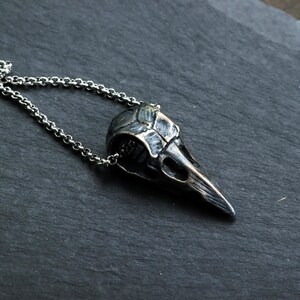 May include: A silver-colored raven skull pendant on a chain. The pendant is detailed with textured lines and a pointed beak. The chain is a delicate, linked design. The necklace is displayed on a dark, textured surface.
