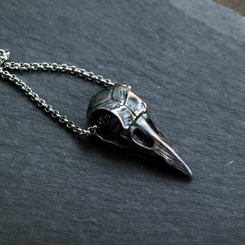 May include: A silver-colored raven skull pendant on a chain. The pendant is detailed with textured lines and a pointed beak. The chain is a delicate, linked design. The necklace is displayed on a dark, textured surface.