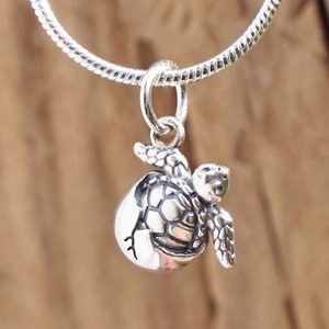 Tiny Baby Turtle In Egg Pendant Necklace Sterling Silver Realistic Gift Box Hatching Tortoise Sea Animal Beach Pet Ocean Wave