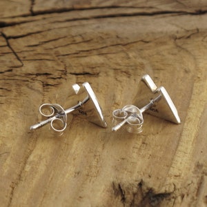 Pu&ograve; includere: Un paio di orecchini a lobo triangolari in argento con perno e chiusura a farfalla. Gli orecchini sono contrassegnati "925" sul retro.
