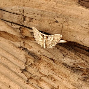 May include: A gold-colored butterfly ring. The ring features a detailed butterfly design with outstretched wings. The ring is set against a textured, wooden background.