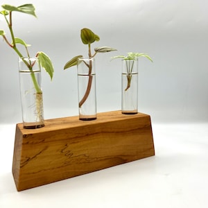 Handmade Wood Vase for Plant Cuttings | Indoor Plant | Wood Vase | Propagation Station