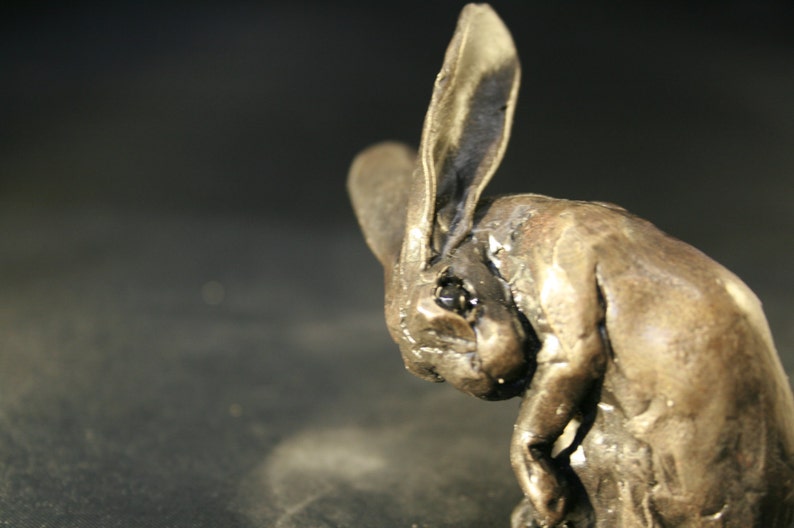 Bronze Cleaning Hare Sculpture by Paul Jenkins Etsy UK
