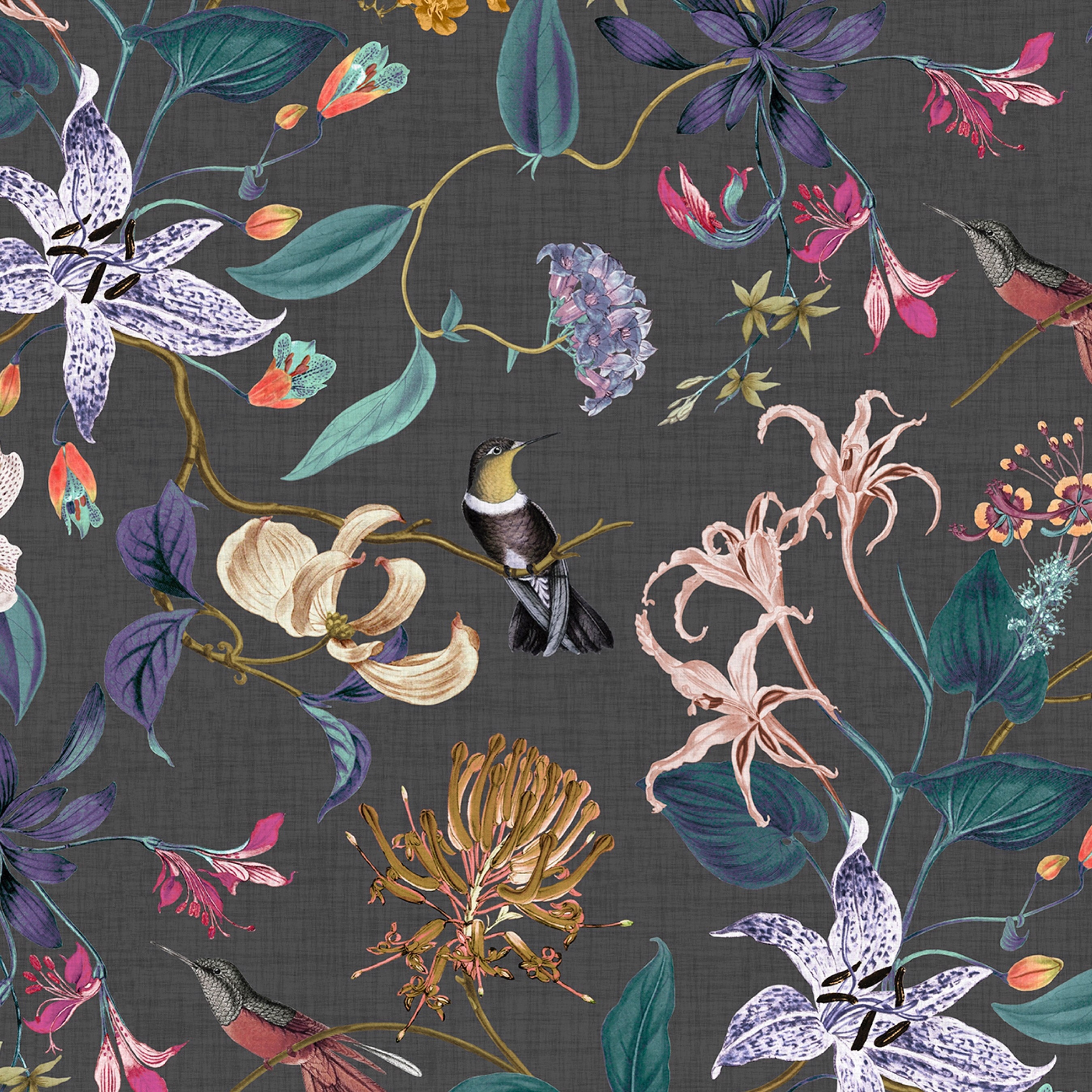 Doppelte Breite-Efflorescence 70 auf 100% Bio-Baumwolle aus | Etsy