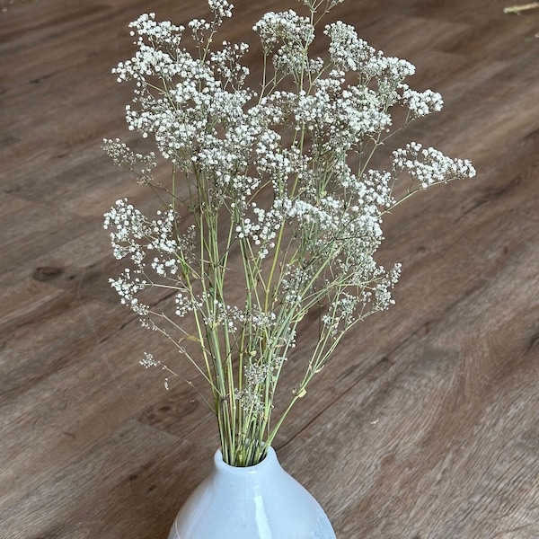 Small Bunch Dried Baby's Breath, Dried Gypsophila, Natural Mini Gyp, Unbleached Baby's Breath