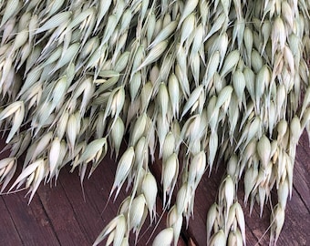 May include: A bunch of dried oat stalks with light green and white seed heads. The stalks are arranged in a fan shape and are lying on a brown wooden surface.