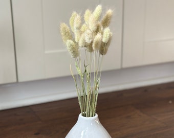 Dried Natural Bunny Tails, Green Bunny Tails, Bunny Tails