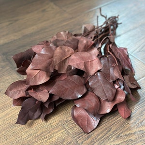 Preserved Burgundy Salal, Burgundy Lemon Leaf, Burgundy Filler, Burgundy Florals, Burgundy Leaves