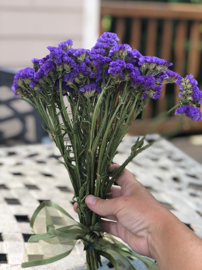 Dried Purple Statice Purple Statice Purple Wedding Etsy