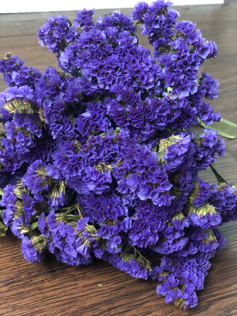 Dried Purple Statice Purple Statice Purple Wedding Etsy