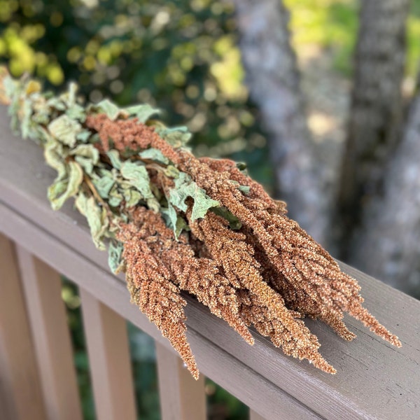 Dried Amaranthus, Copper Dried Amaranth, Golden Amaranthus, Fall Flowers, Fall Arrangement, Fall Bouquet, Autumn Bouquets