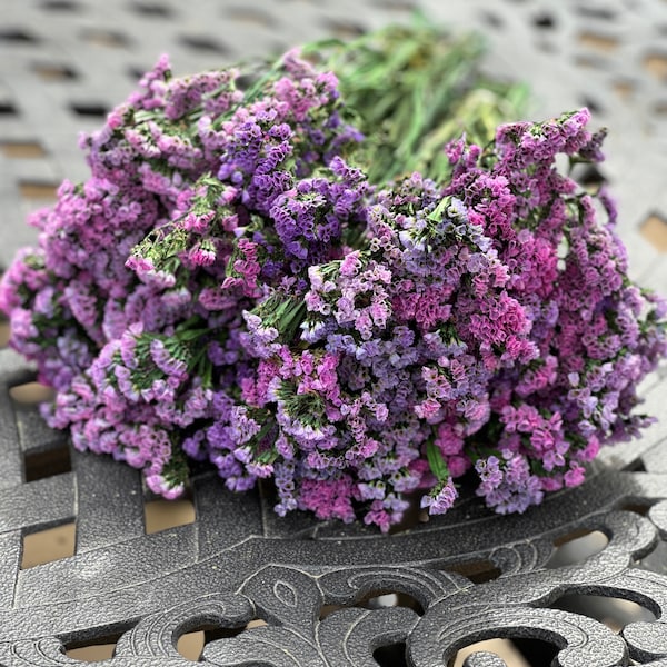 PRESERVED Pink and Purple Statice, Statice, Sinuata Statice, Limonium sinuatum, Dried Statice,  Wedding Flowers, Dried Bouquet