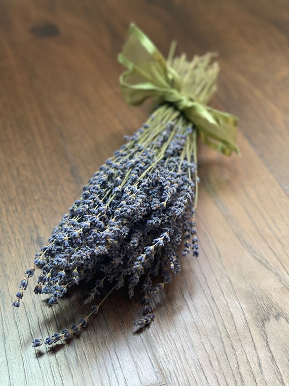 Dried English Lavender Dried Lavender Lavender Bouquet Etsy