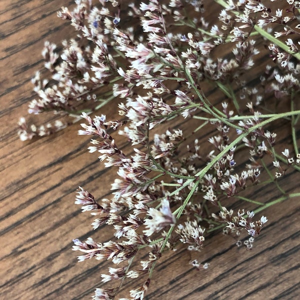 Dried Sea Lavender, Natural Dried Sea Lavender, Rustic Flowers