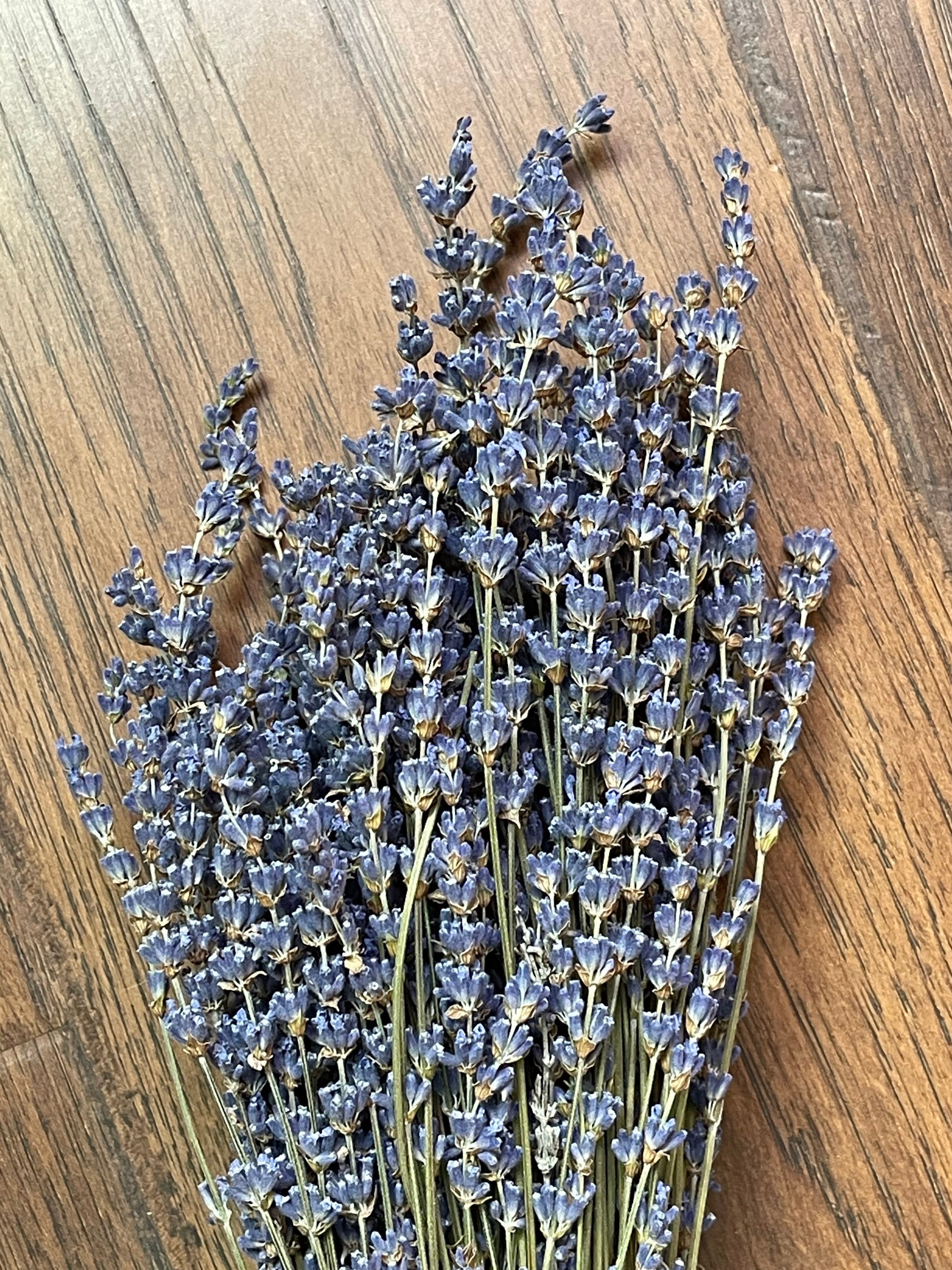 Dried English Lavender Dried Lavender Lavender Bouquet Etsy