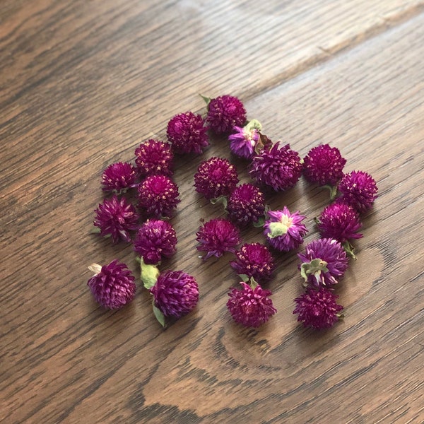 Dried Globe Amaranth Heads, Dried Gomphrena Heads, Purple Flower Heads, Flowers for Resin Crafts, Soapmaking, Candlemaking, Clover Flowers
