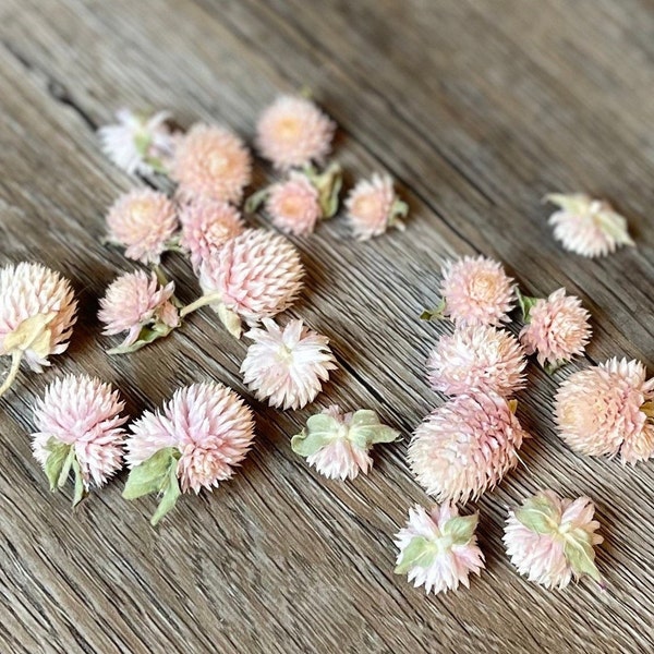 Dried Globe Amaranth Heads, Dried Gomphrena Heads, Pink Flower Heads, Flowers for Resin Crafts, Soapmaking, Candlemaking, Clover Flowers