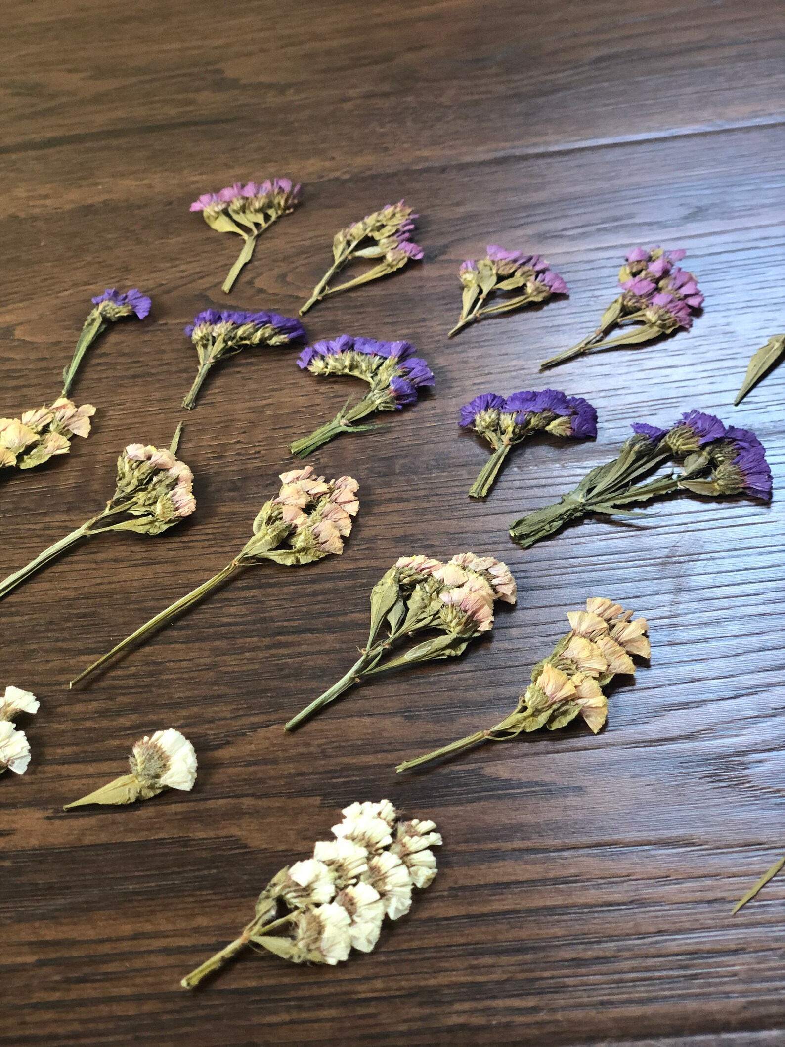 Pressed Statice Flowers Dried Statice Flowers Assorted Etsy