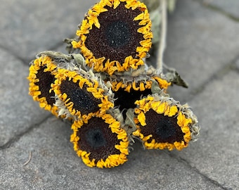 Dried Sunflowers, Sunflower Stems, Yellow Flowers, Fall Flowers, Helianthus, Dried Flowers, Summer Flowers