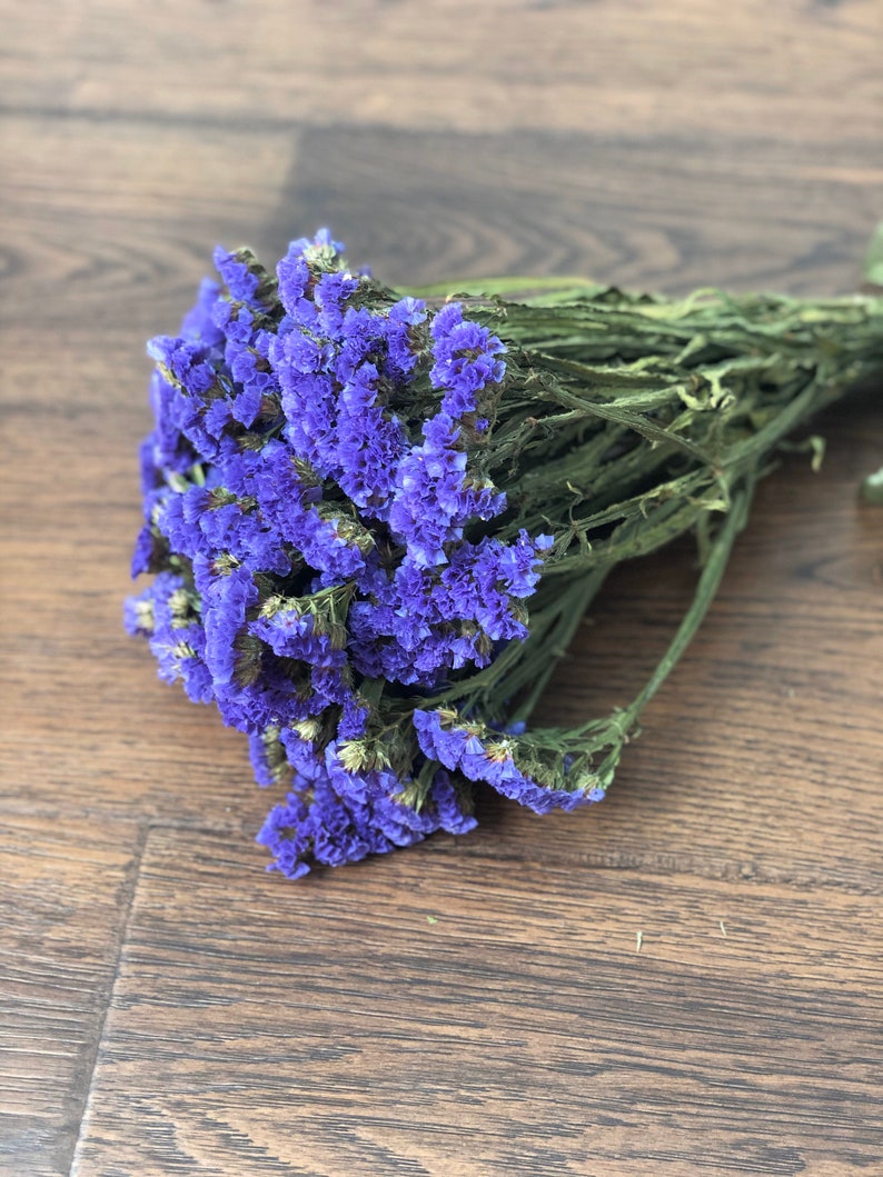 Dried Purple Statice Purple Statice Purple Wedding Etsy