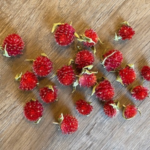 Dried Red Globe Amaranth Heads, Dried Gomphrena Heads, Red Flower Heads, Flowers for Resin Crafts, Soapmaking, Candlemaking, Clover Flowers