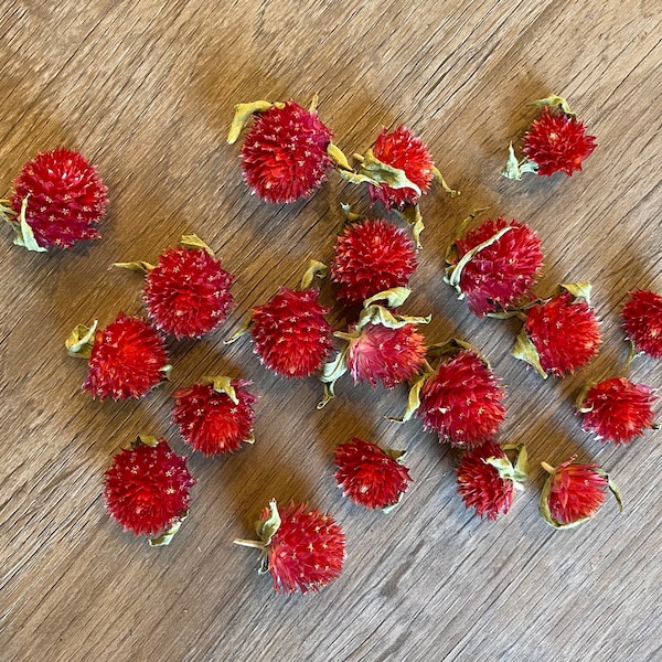 Dried Red Globe Amaranth Heads, Dried Gomphrena Heads, Red Flower Heads, Flowers for Resin Crafts, Soapmaking, Candlemaking, Clover Flowers