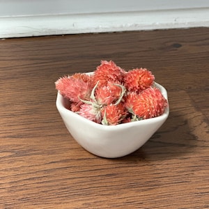 Dried Globe Amaranth Heads, Dried Gomphrena Heads, Orange Flower Heads, Flowers for Resin Crafts, Soapmaking, Candlemaking, Clover Flowers