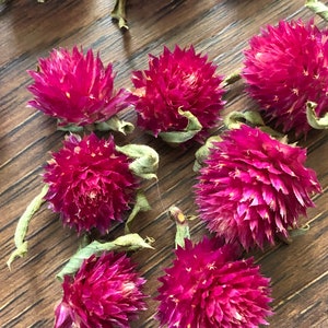 Dried Globe Amaranth Heads, Dried Gomphrena Heads, Pink Flower Heads, Flowers for Resin Crafts, Soapmaking, Candlemaking, Clover Flowers