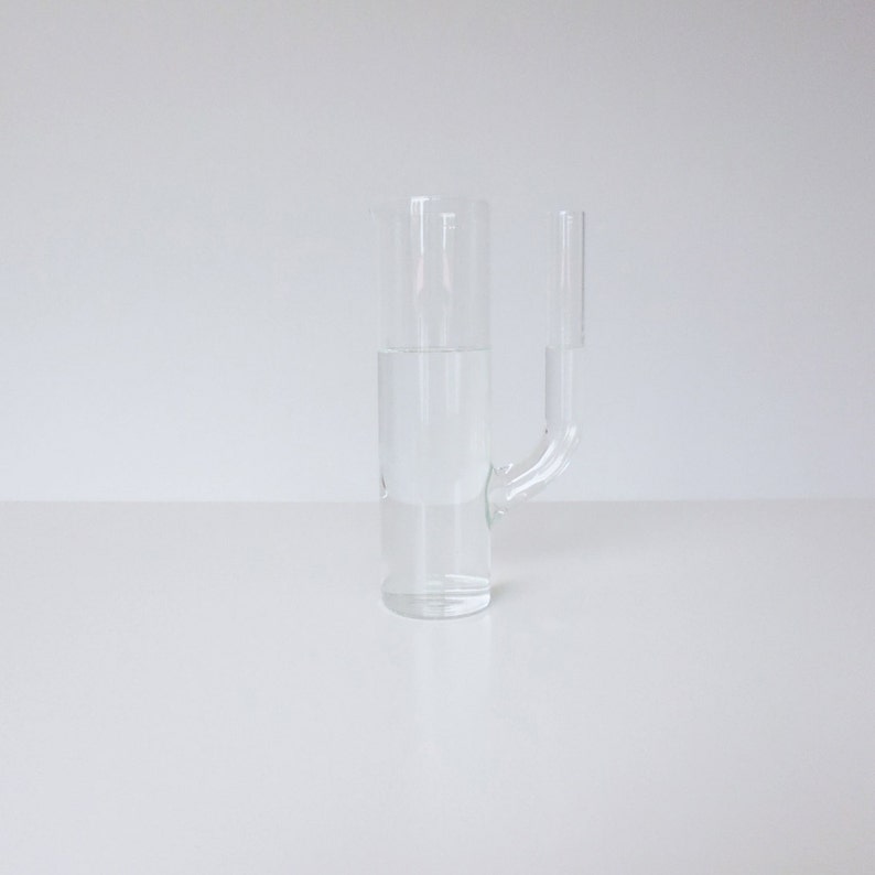 glass carafe, water carafe, milk jug, special gift, nordic style, glass vase, wine decanter, flower vase, pyrex carafe, cactus image 2