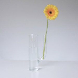 glass carafe, water carafe, milk jug, special gift, nordic style, glass vase, wine decanter, flower vase, pyrex carafe, cactus image 3