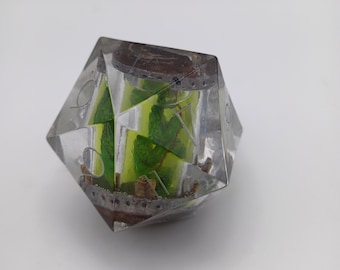 Giant Green Alien Tank D20 (Liquid filled)