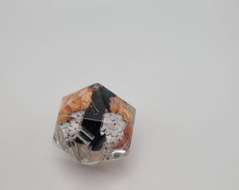 X-Large Sushi Nigiri D20