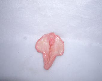 Sculpted Vulva Pink Caucasian Acrylics 168