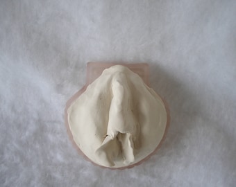 Sculpted Vulva in a Frosted Pink Oyster Shell-Shaped Glass Candy Dish 179
