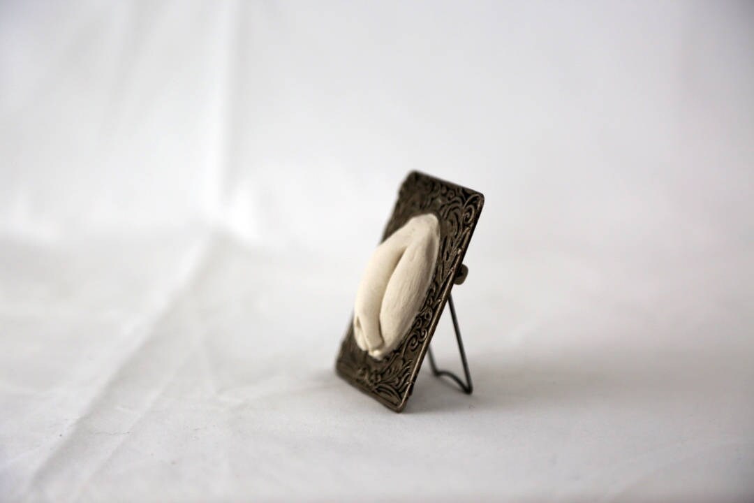 Sculpted Vulva in a Pewter Engraved Frame with Builtin Etsy