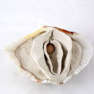 Sculpted Vulva in a Oyster Shell 36