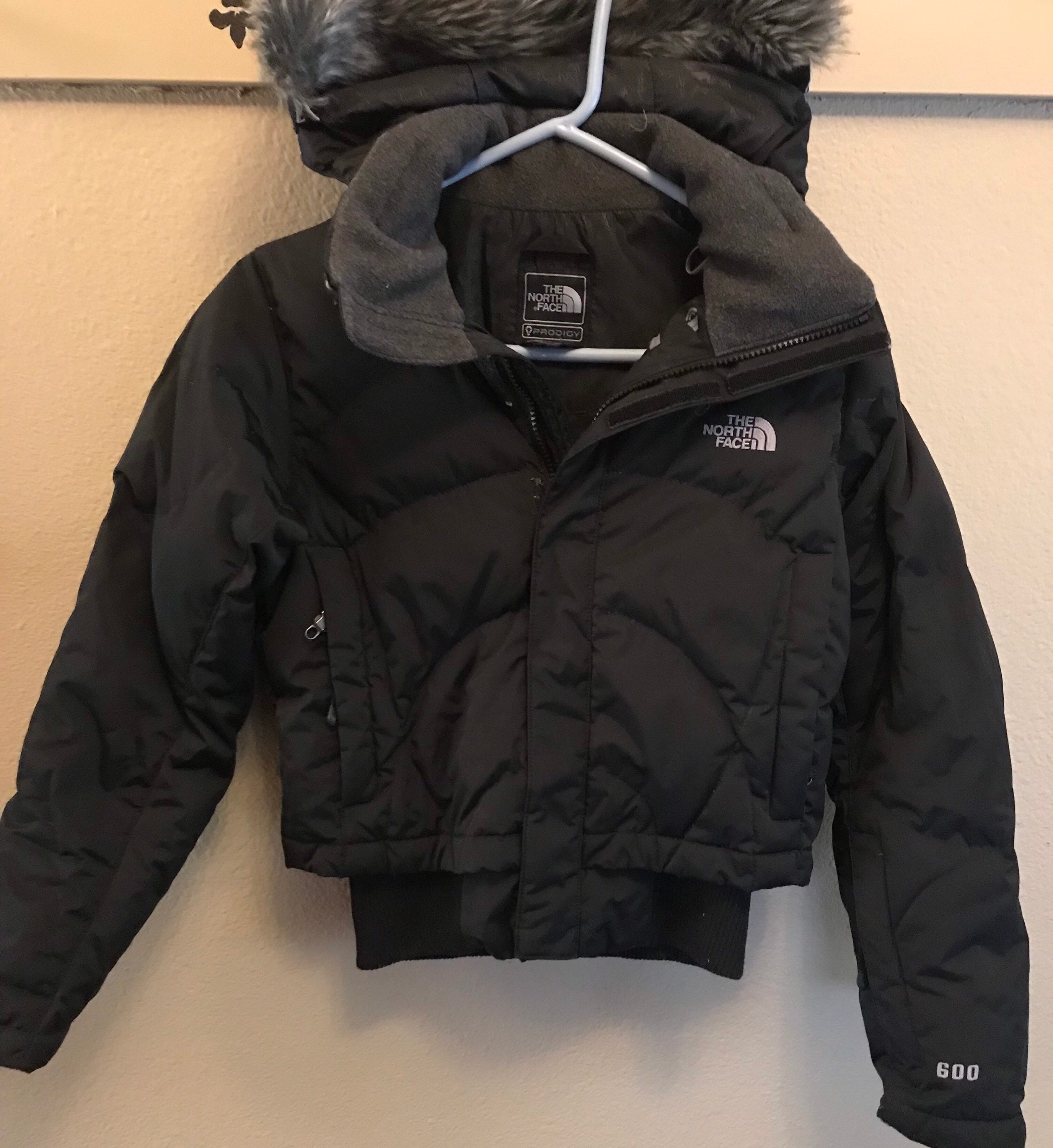 The north best sale face 600 parka
