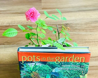 Colorful Pots in the Garden by Ray Rogers, Beautifully Illustrated Vintage Book for Flowers and Gardening Lovers, Perfect Gift Ideas for Her