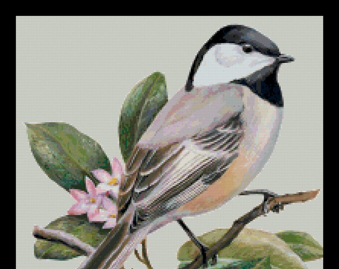 Large BLACK CAPPED CHICKADEE Cross Stitch Pattern (approx. 10.25"x 14.75") (Enlarged B+W and Color Key & Chart)