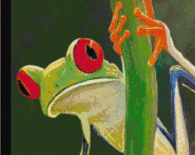 Red Eyed TREE FROG Cross Stitch Pattern (approx. 11.25"x 13.75")(Color Key & Chart included)
