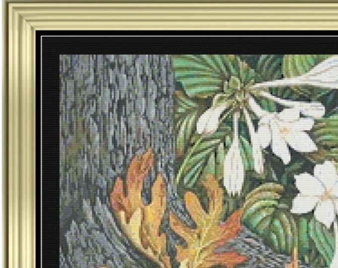 WOODLAND HOSTA...  Cross Stitch / Needlepoint Pattern (approx.11"x 9")(Enlarged B&W and Color Charts with Key)