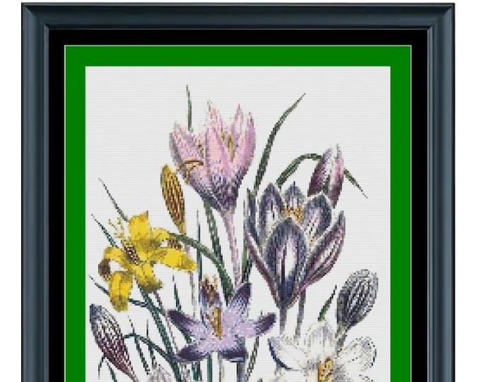 CROCUS Botanical Cross Stitch / Needlepoint Pattern (approx.  8" x 12.4")(B-W and Color Key & Charts included)