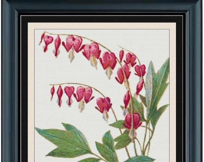 BLEEDING HEART  Cross Stitch Pattern (approx. 11"x 14")(Enlarged Color Key & Chart) Botanical