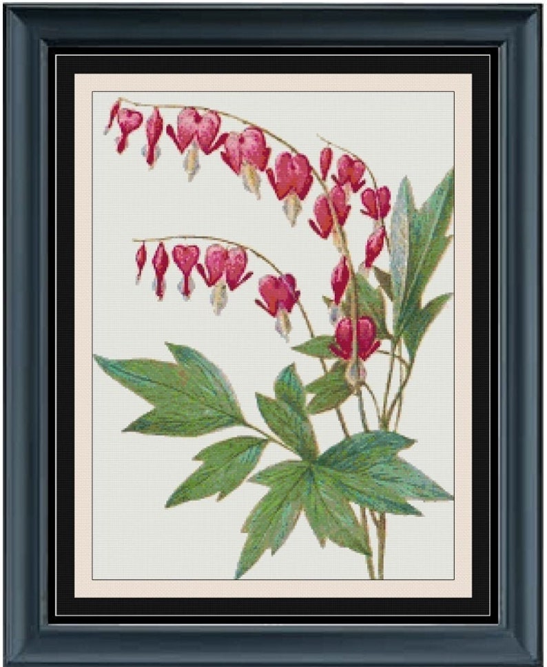 BLEEDING HEART Cross Stitch Pattern approx. 11x 14enlarged Color Key