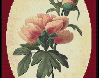 PEONY - PROSPERITY ...  Cross Stitch / Needlepoint Pattern (approx.11"x 16")(Enlarged B&W and Color Charts with Key) Botanicals